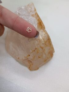 Patinha mini