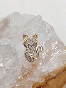 Gato cravejado