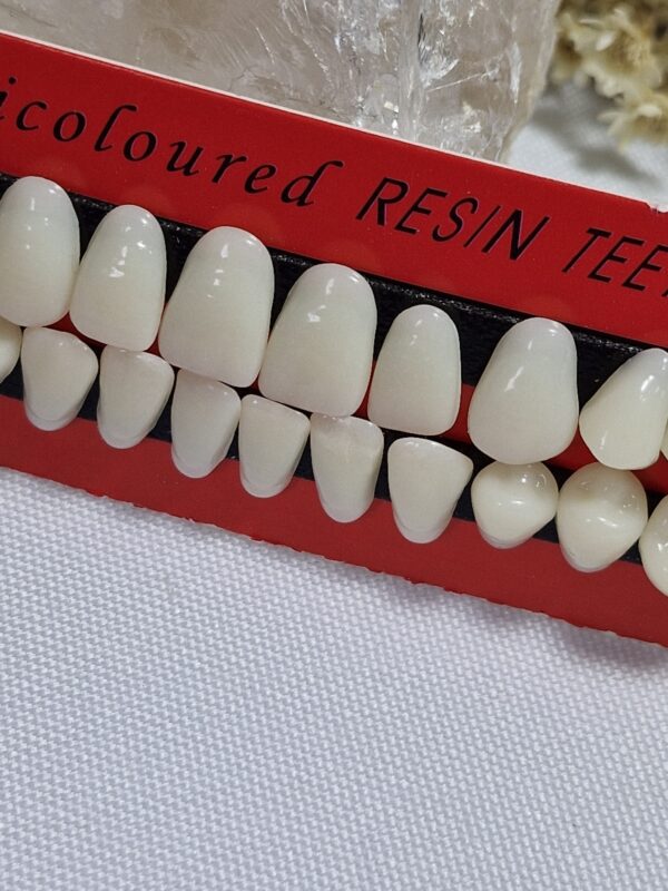 Dentes em resina realista - Imagem 2