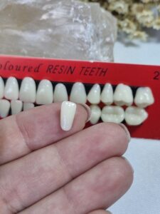 Dentes em resina realista