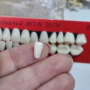 Dentes em resina realista