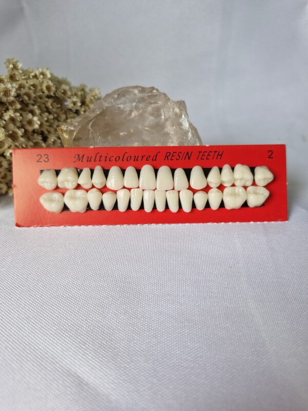 Dentes em resina realista - Imagem 3