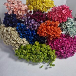Flores secas coloridas - cores avulsas