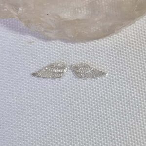 Implante par de mini asas prateado