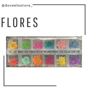 Mini Flores secas coloridas