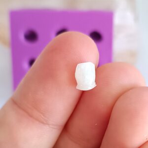 Molde dentes fake