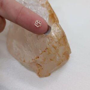 Patinha mini dourada