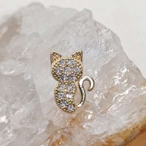 Gato cravejado