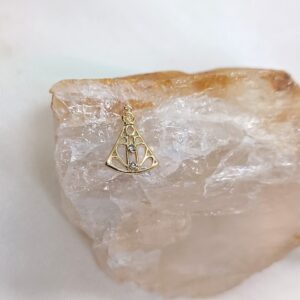 Nossa Senhora Aparecida implante dourada